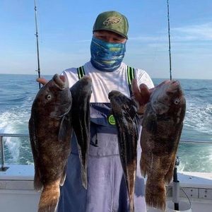 Meet your Posher, Greg